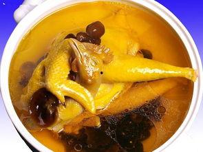 娱乐吃瓜酱鸡汤