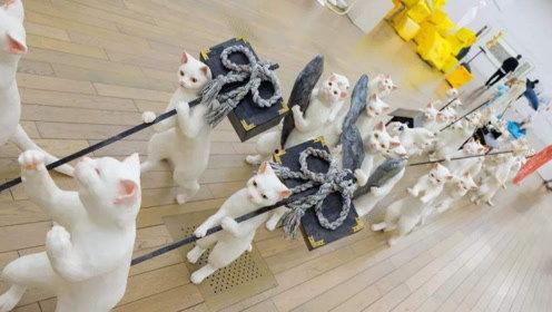 娱乐吃瓜君大嘴猴